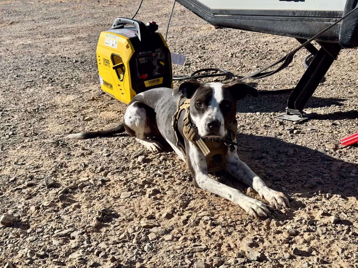 donmontalvo photo 37