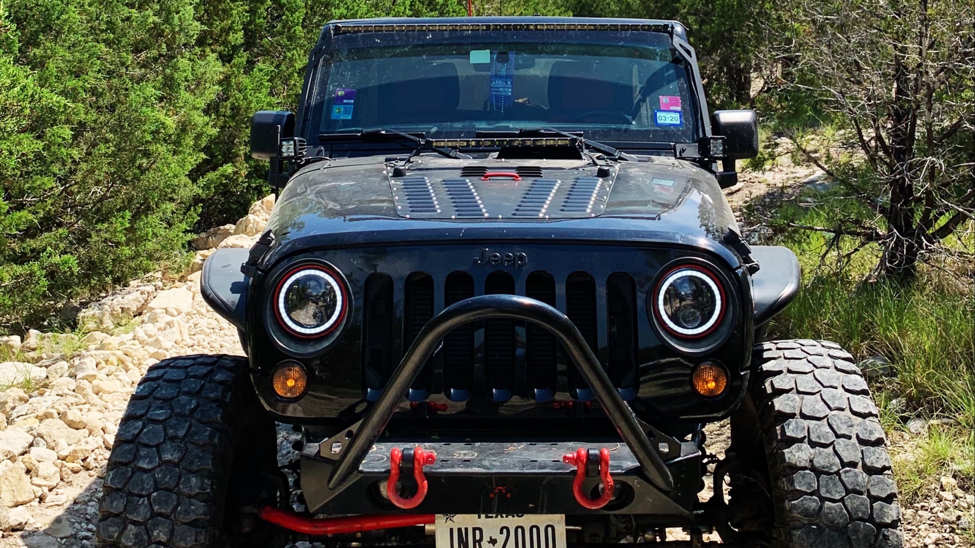 EVOLUTIONJKU photo 15