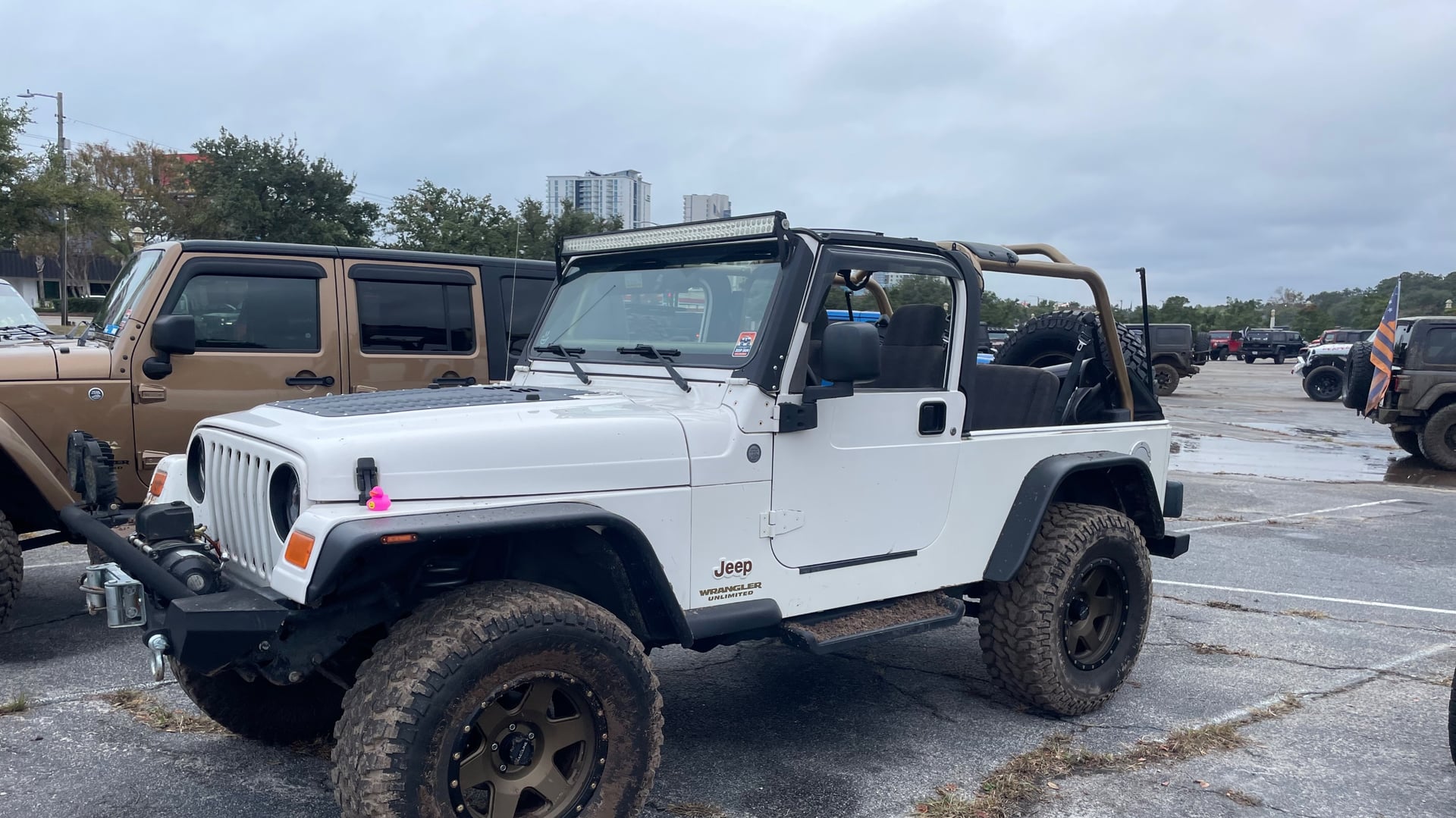 Ellington LJ photo 1