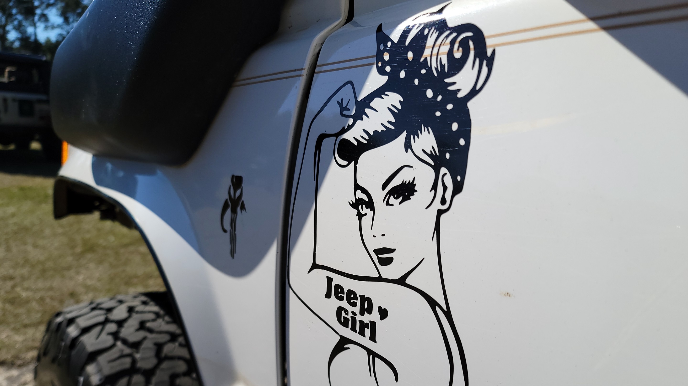 Aluminum Falcon photo 5