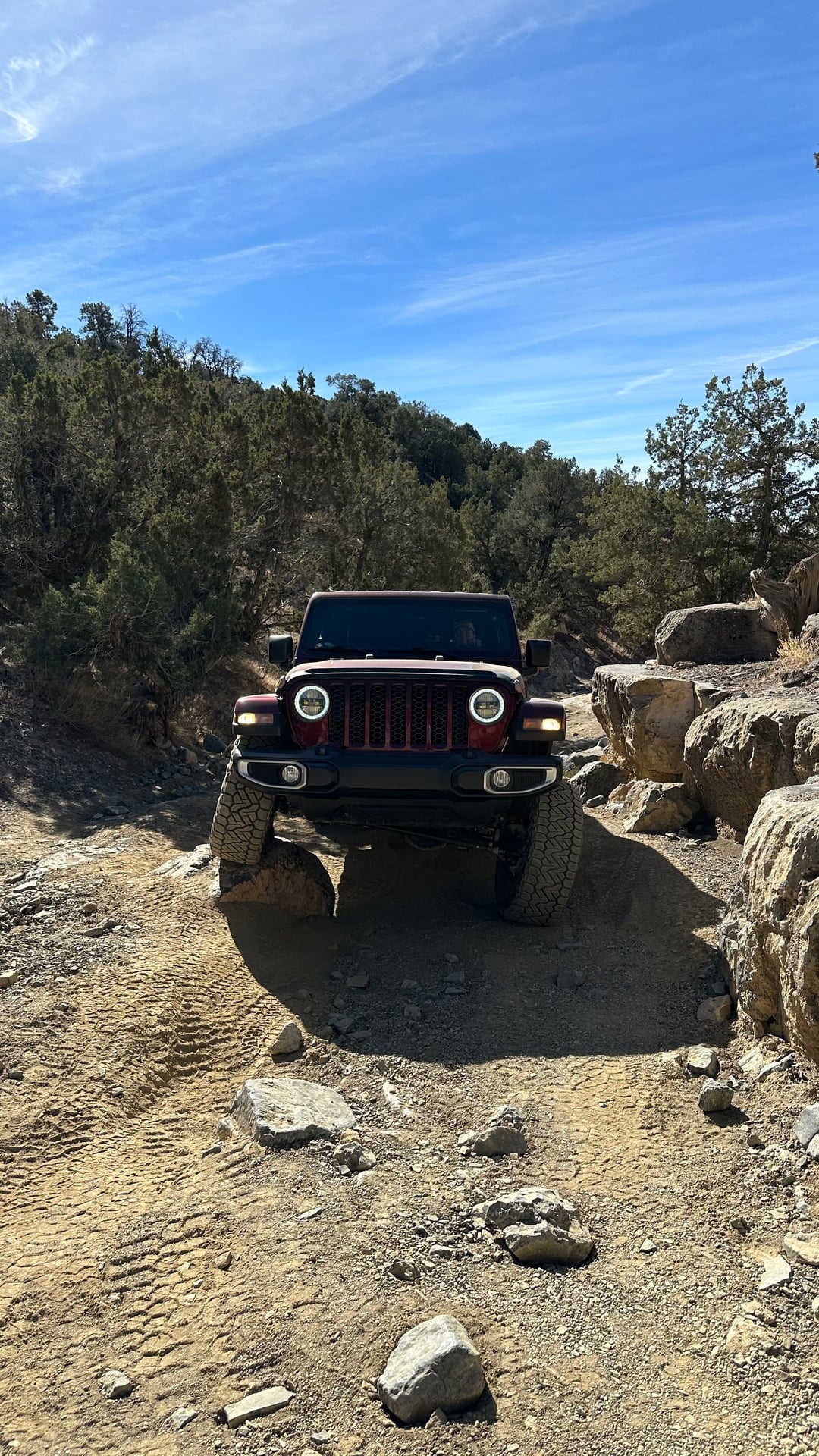 Jaden.in.a.jt photo 6