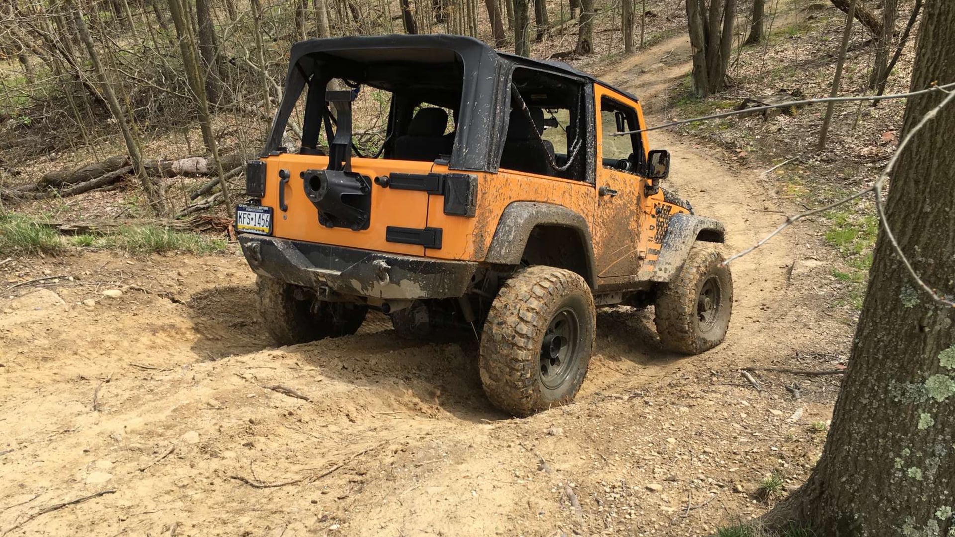 Gadsden photo 14