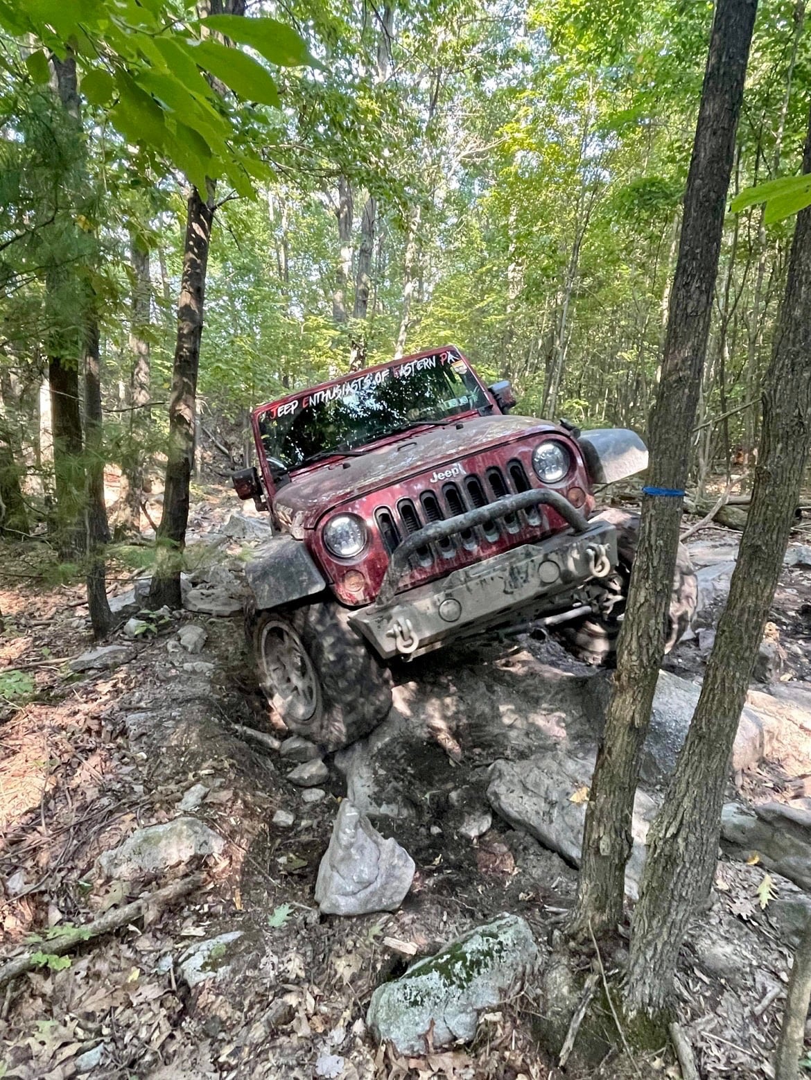 Rednecker photo 18