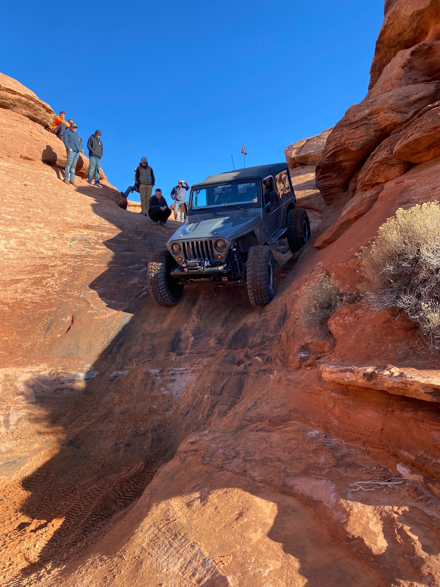 Stingray LJ photo 19