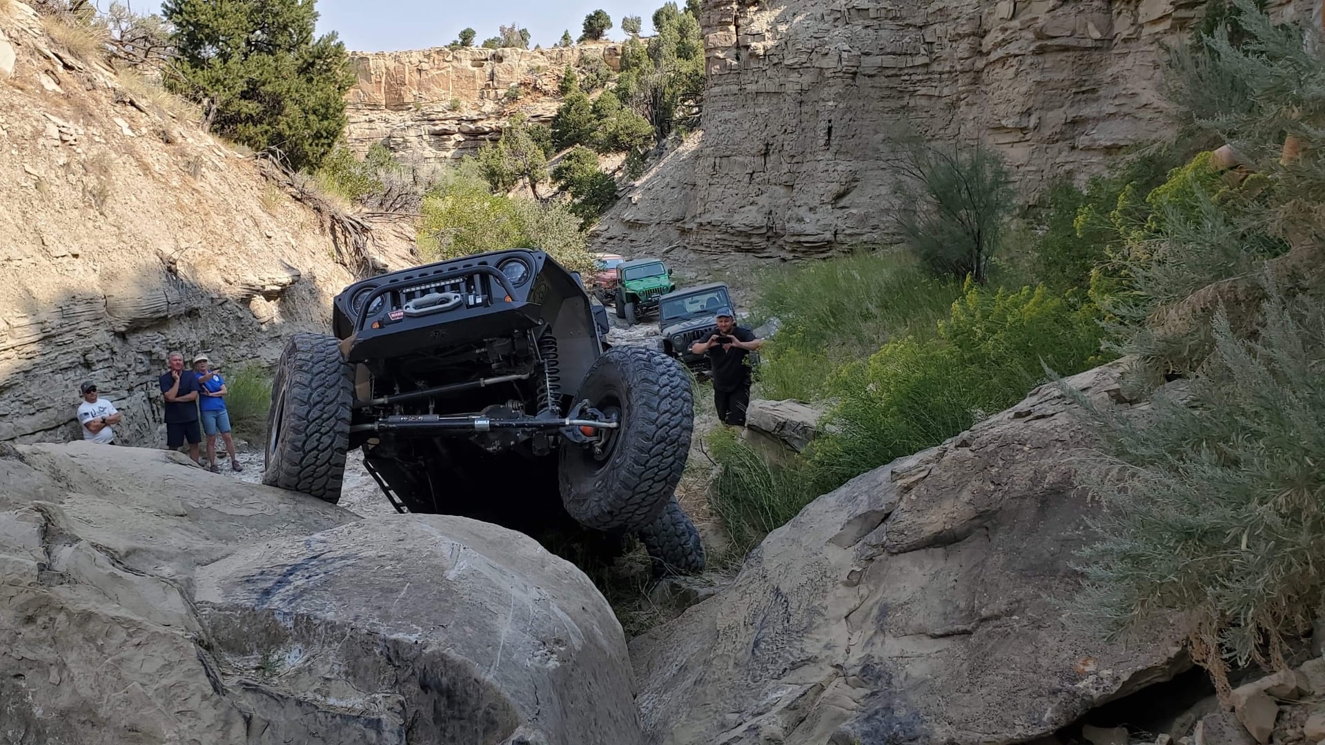 Stingray LJ photo 30