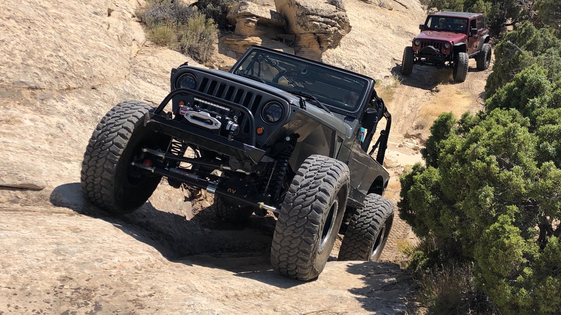 Stingray LJ photo 39