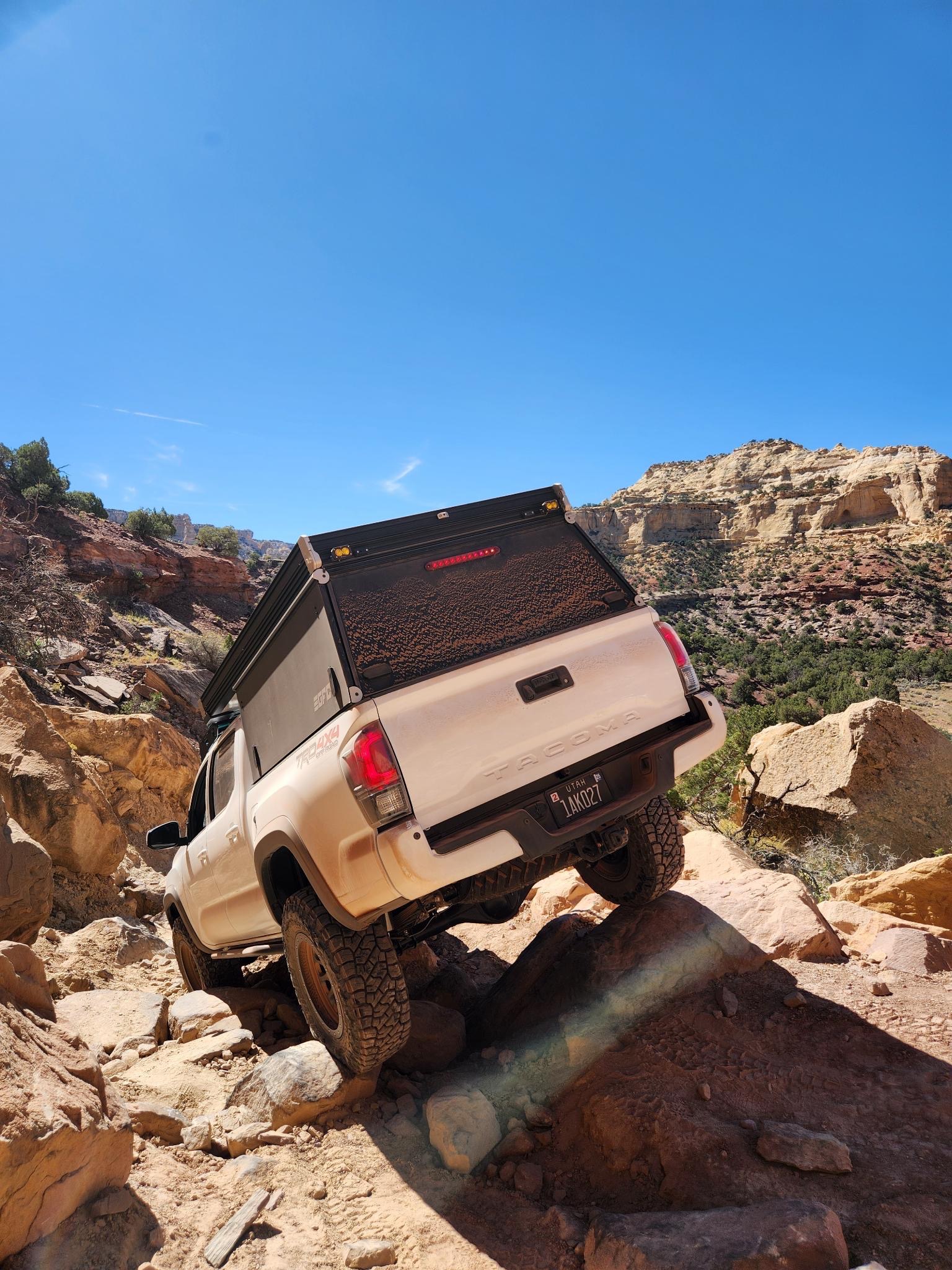 Tailhook-Actual photo 3