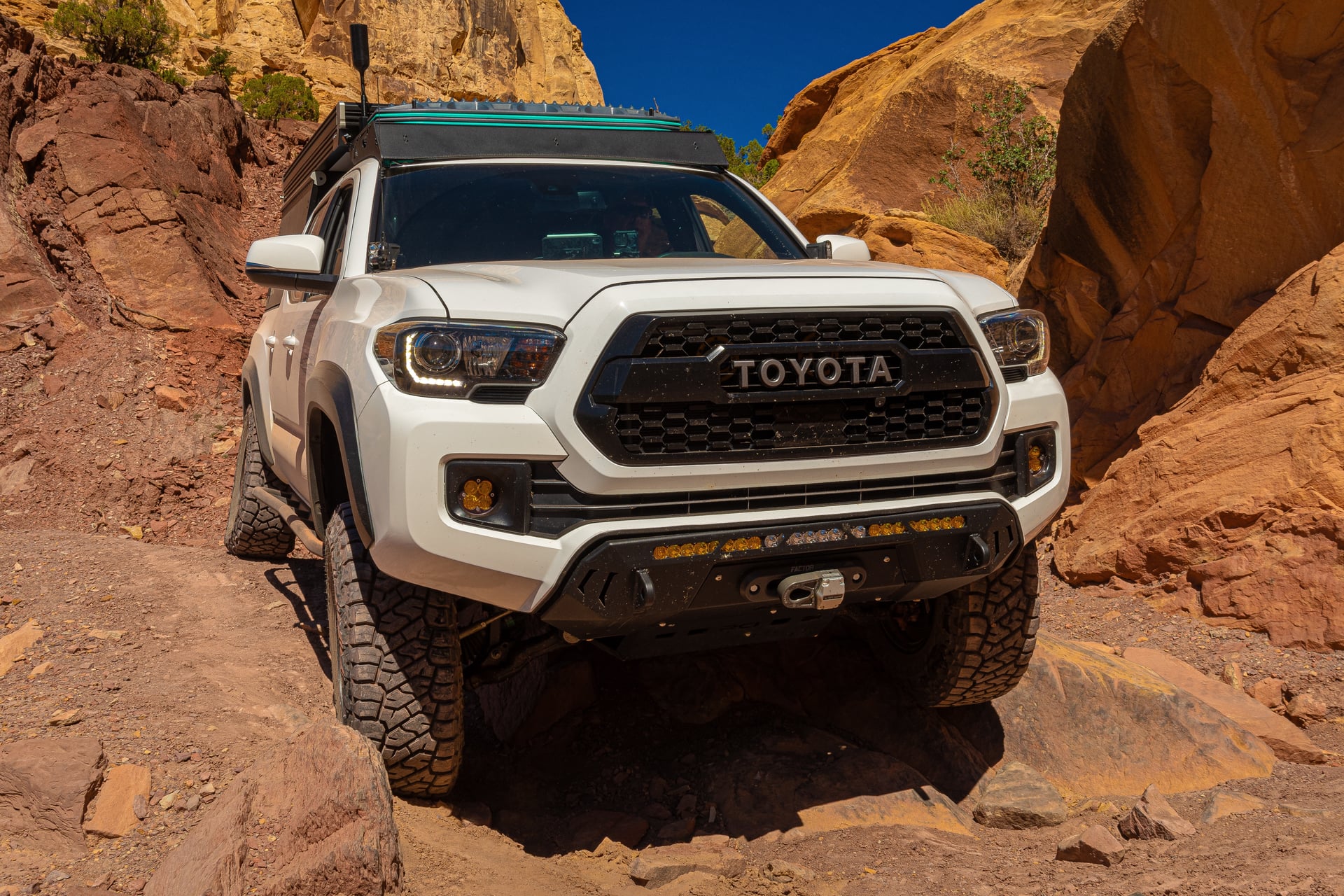 Tailhook-Actual photo 2