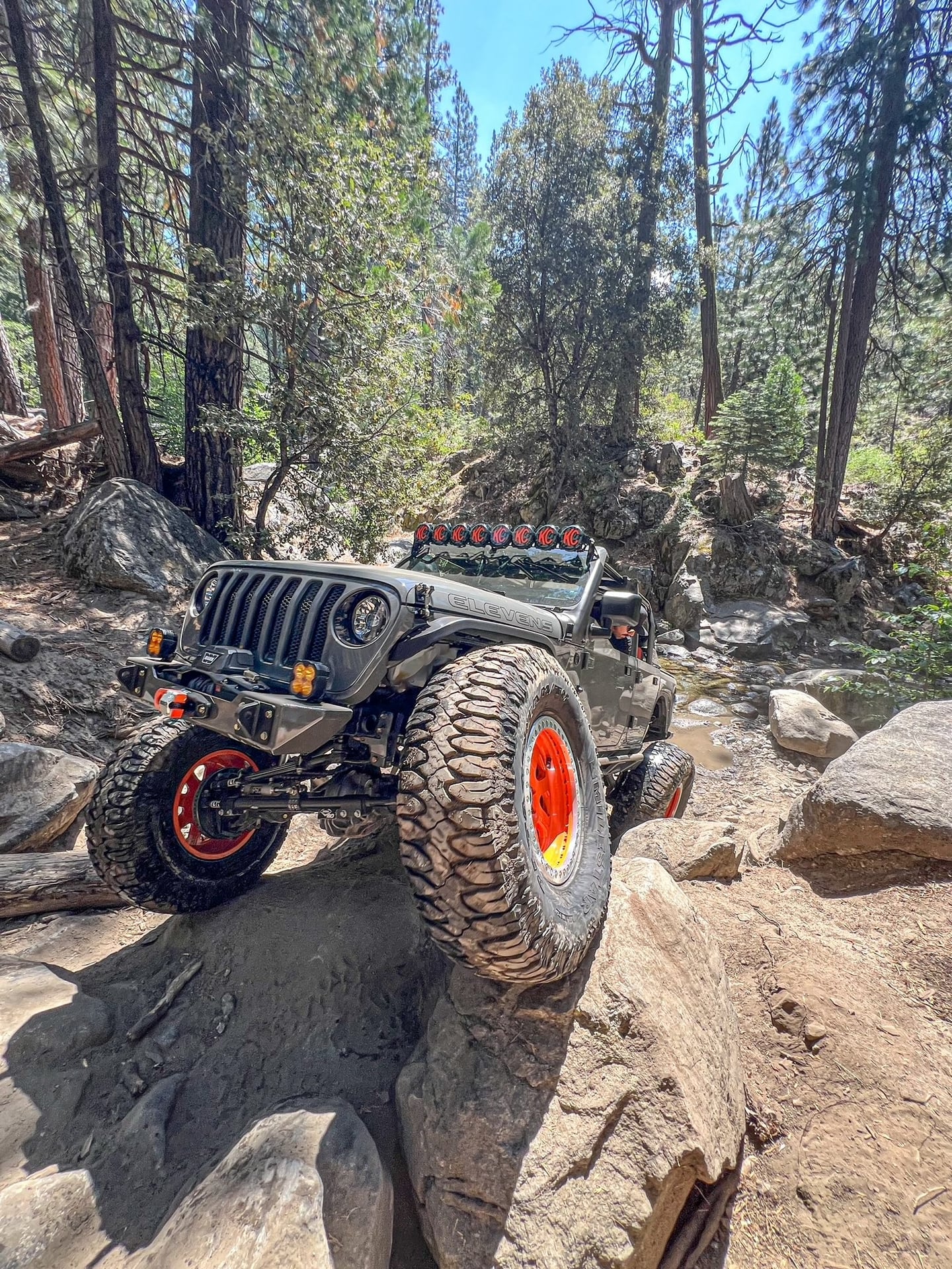 ELEVENS_JLU photo 11