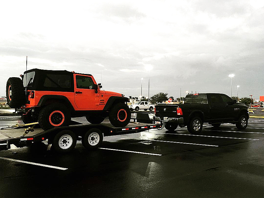 segovinator photo 12