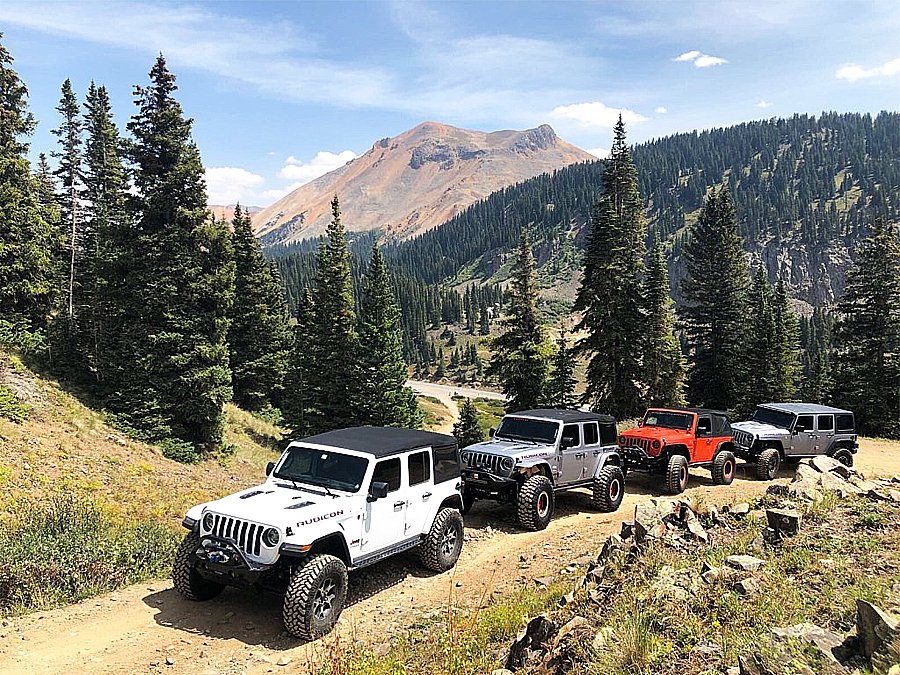 segovinator photo 10