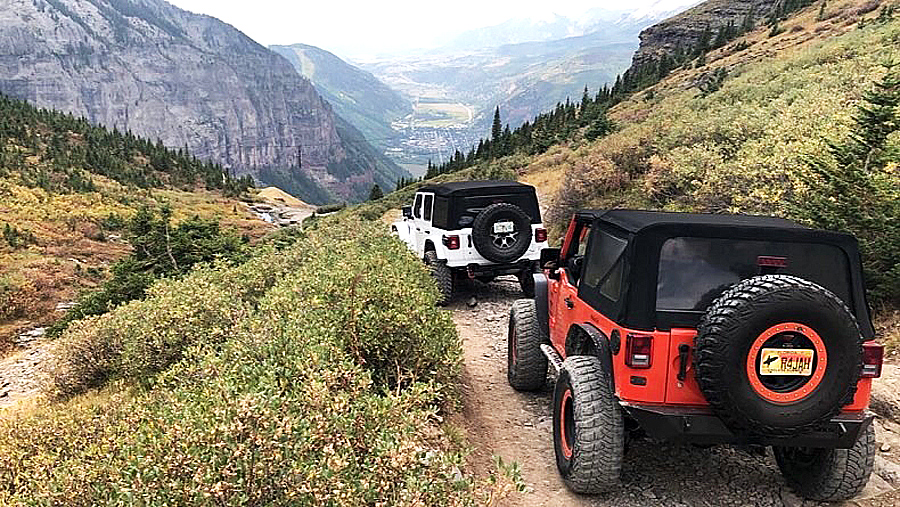 segovinator photo 11