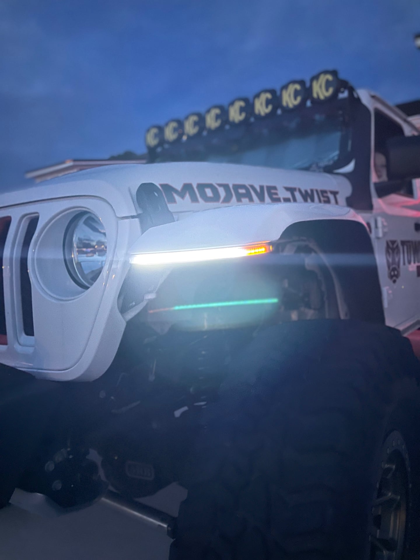 mojave_twist photo 9