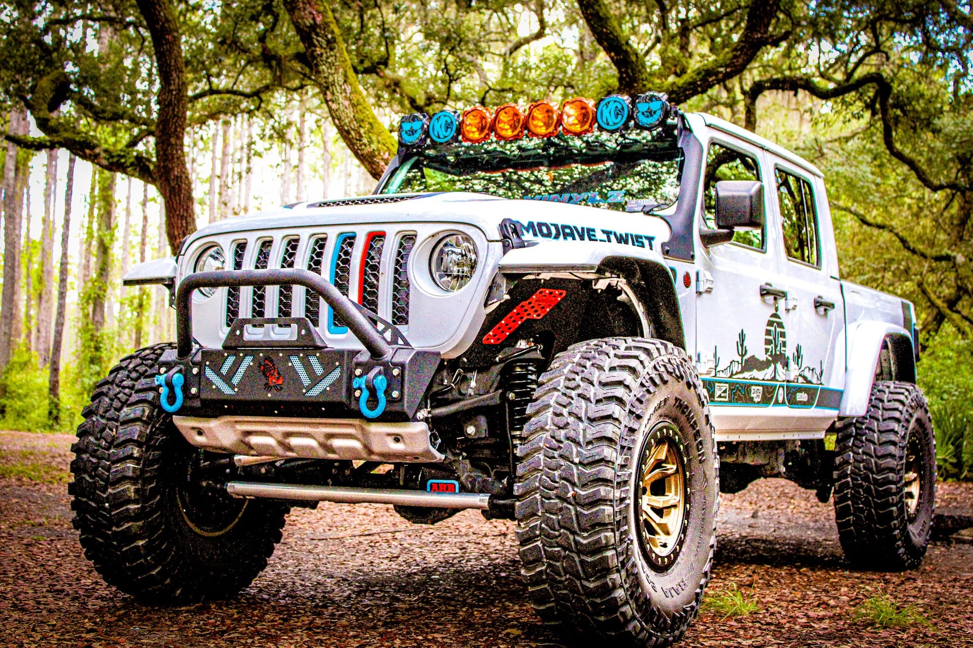 mojave_twist photo 10