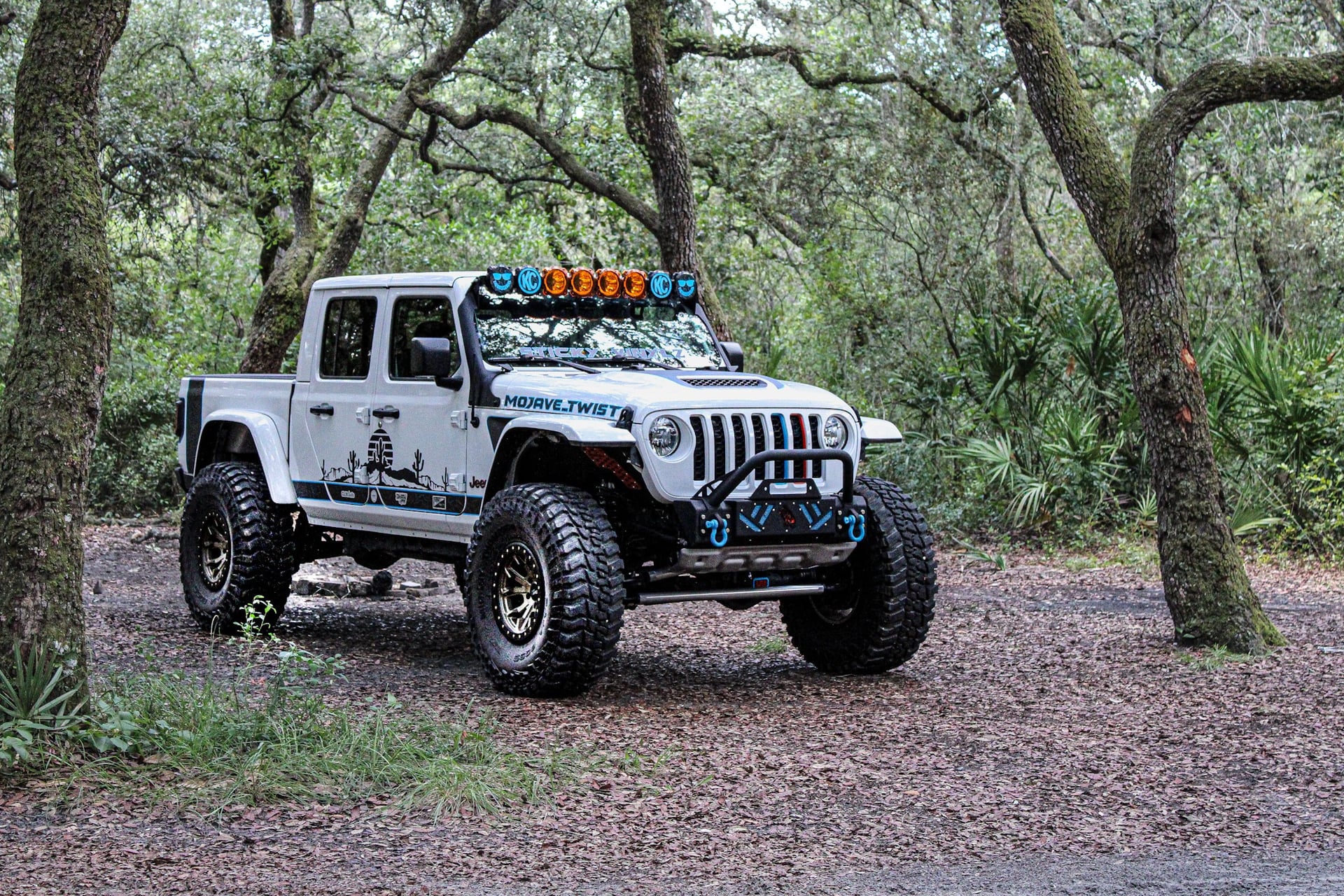 mojave_twist photo 11