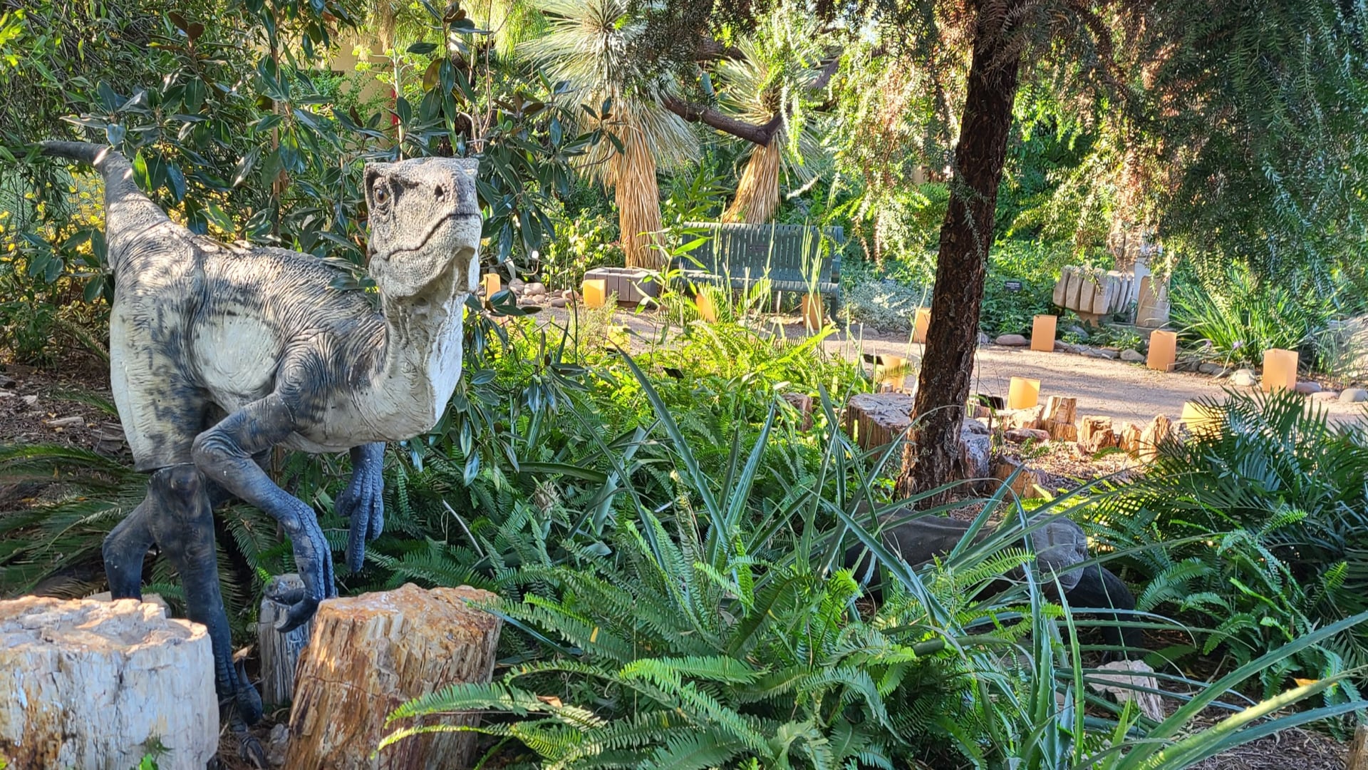 New roads ahead photo 3