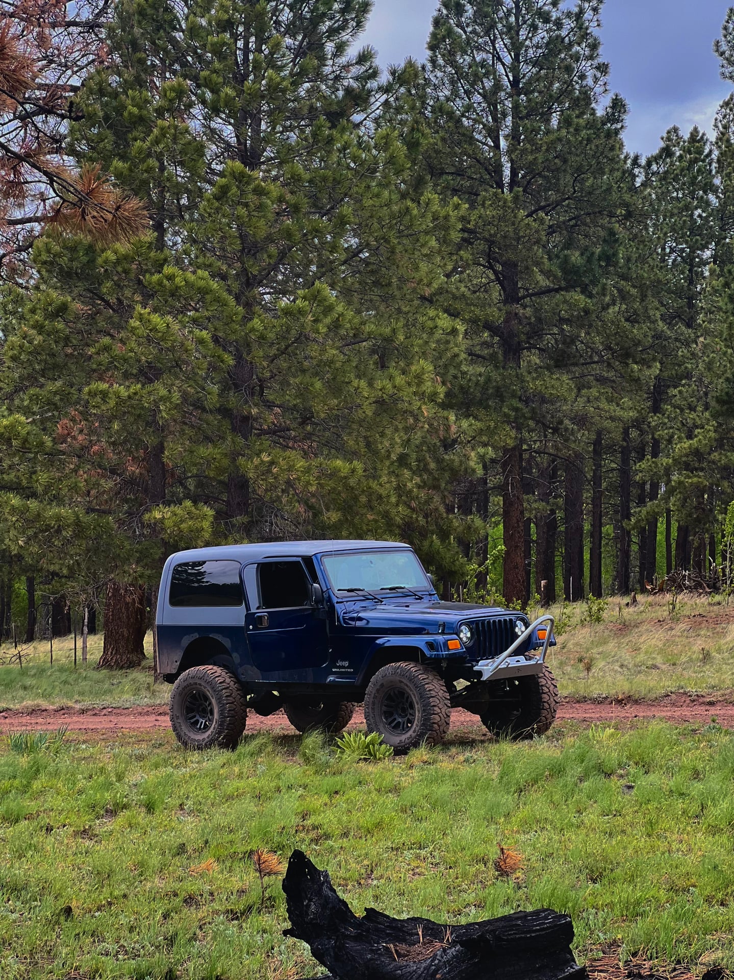 nightcrawler lj photo 7