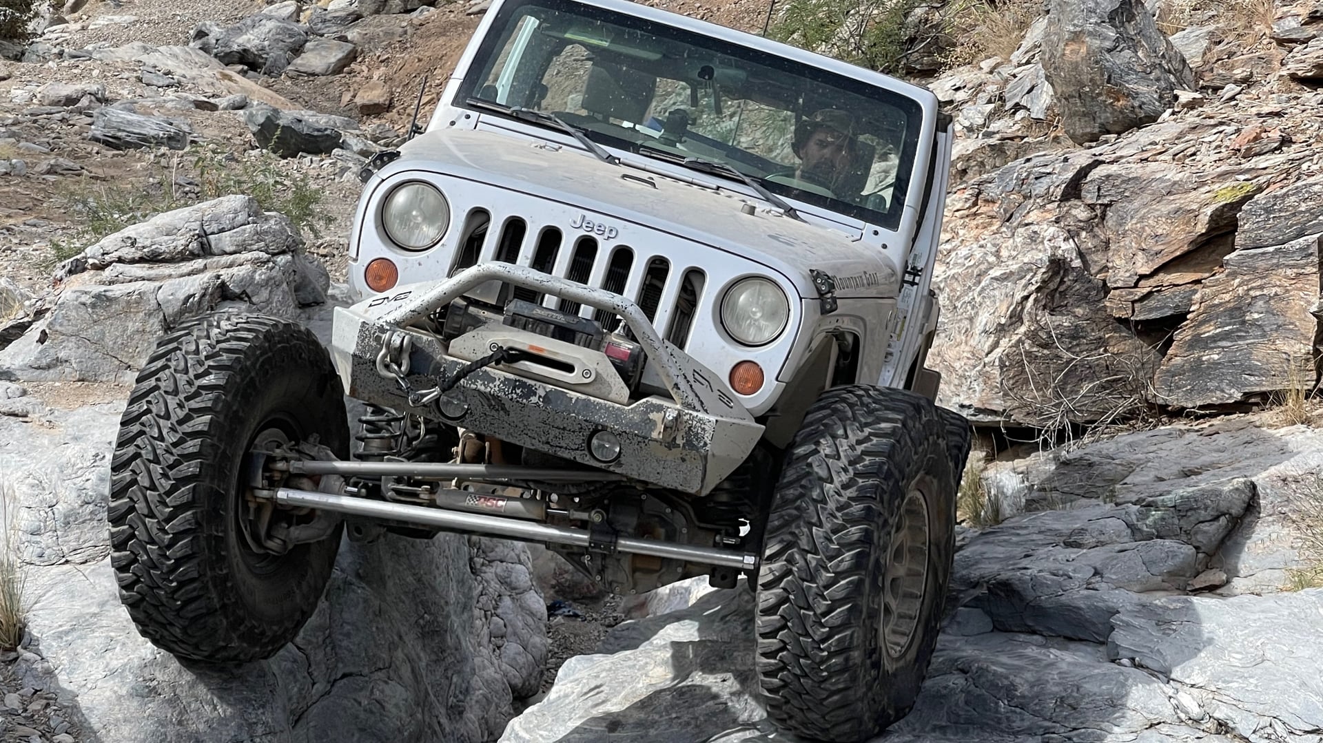 Mountain Goat AZ photo 27