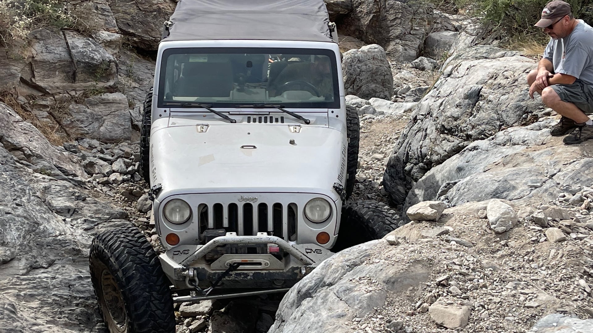 Mountain Goat AZ photo 29