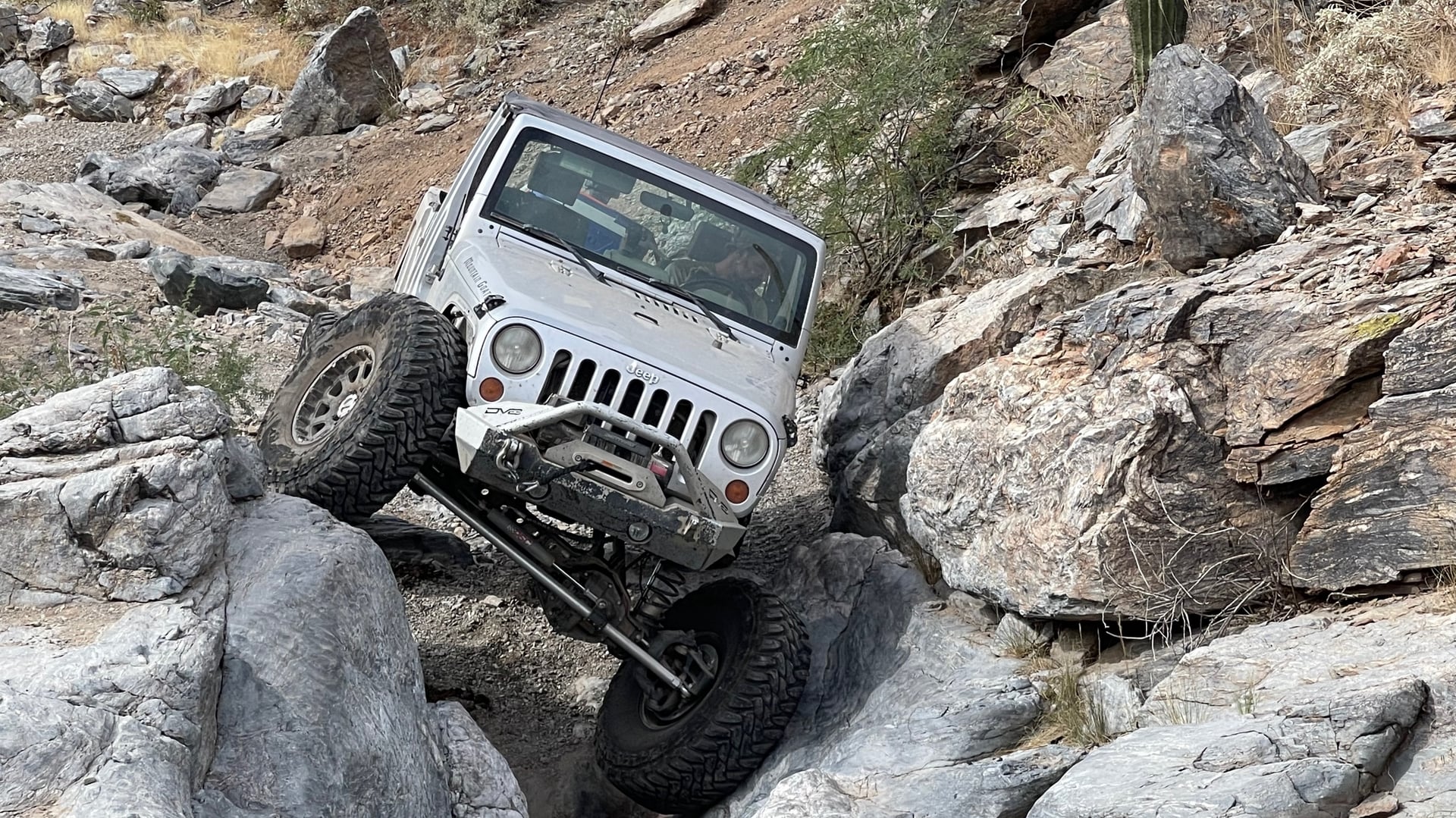Mountain Goat AZ photo 30