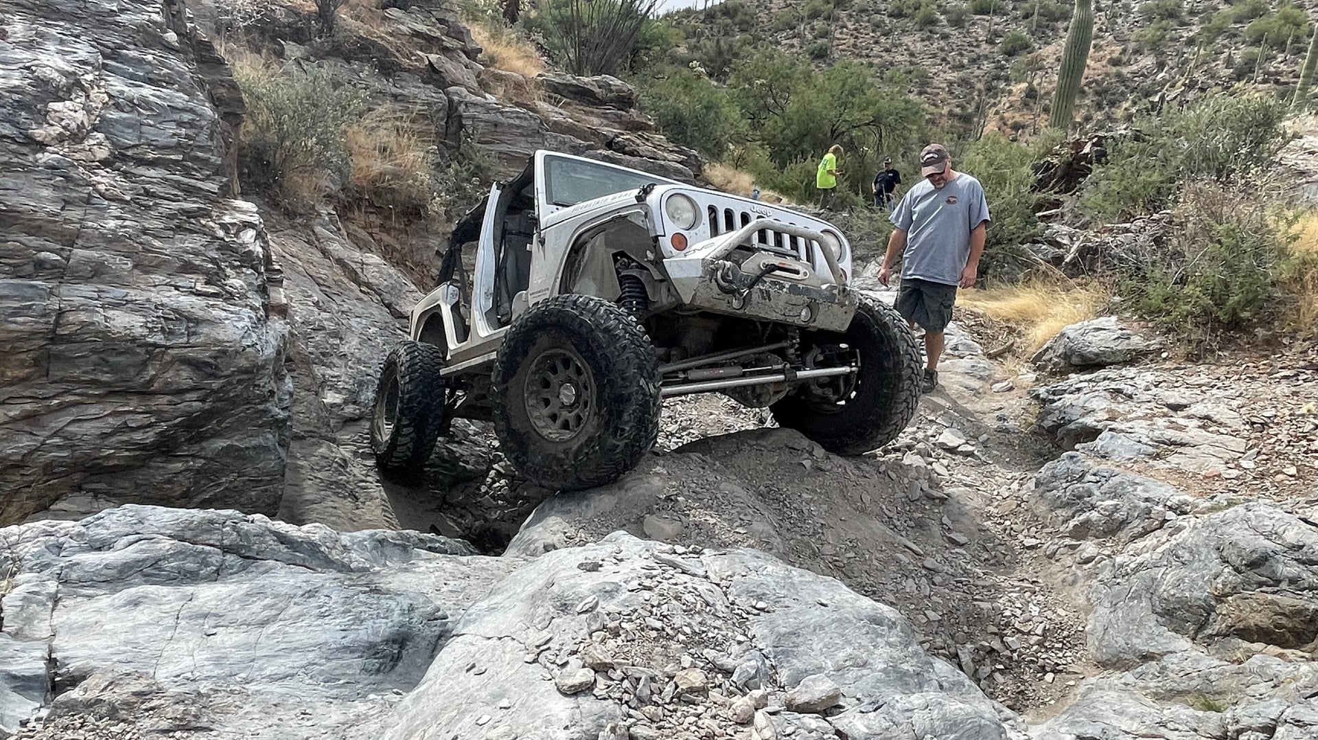 Mountain Goat AZ photo 31