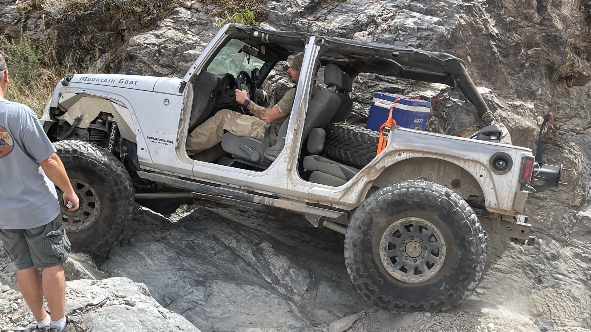 Mountain Goat AZ photo 34
