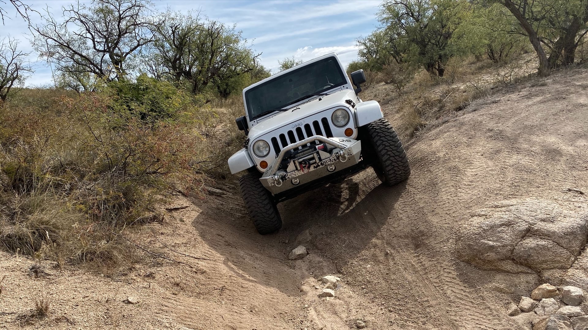 Mountain Goat AZ photo 26